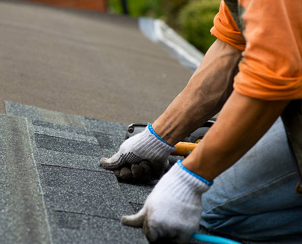 Best Roof Gutter Cleaning  in New Rockford, ND
