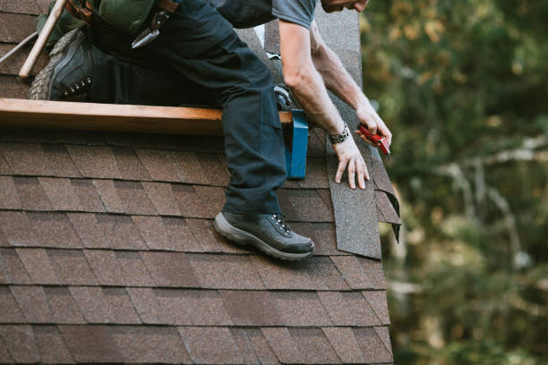 Best Roof Leak Repair  in New Rockford, ND